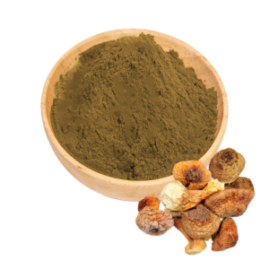 Agaricus Blazei Extract
